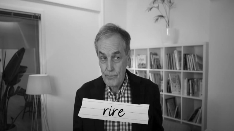 Intervention de Luc DE BRABANDERE pour Ironie et humour ©Luc DE BRABANDERE