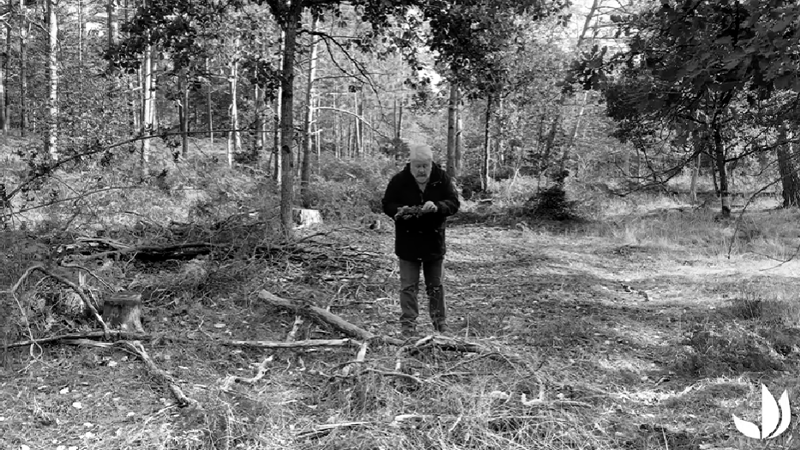 Intervention de Patrick MIOULANE pour Balade en forêt ©Baladeenforêt