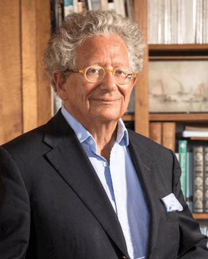 Portrait de Dominique MOÏSI