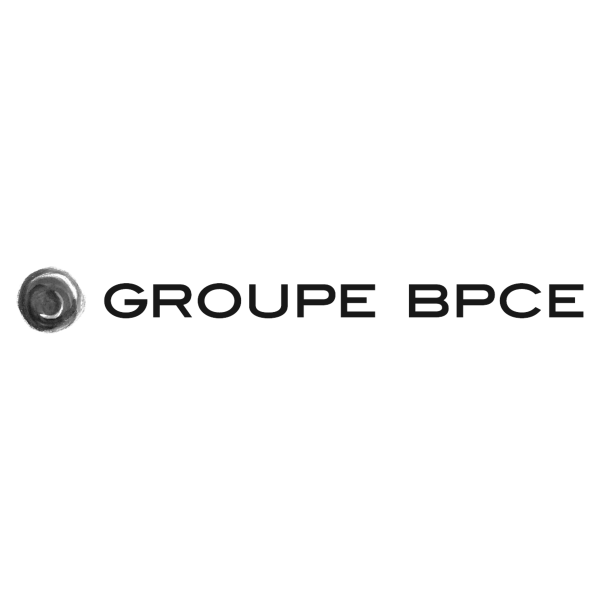 logo_GROUPE_BPCE_gris
